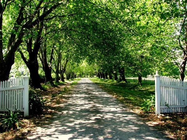 Luxury B&B for sale New Zealand Edwardian villa in heart of Hawkes Bay wine country  